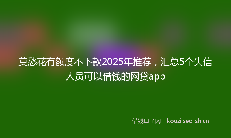 莫愁花有额度不下款2025年推荐，汇总5个失信人员可以借钱的网贷app