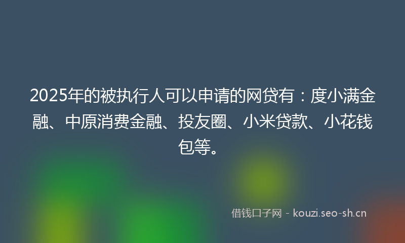 2025年的被执行人可以申请的网贷有：度小满金融、中原消费金融、投友圈、小米贷款、小花钱包等。