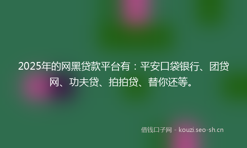 2025年的网黑贷款平台有：平安口袋银行、团贷网、功夫贷、拍拍贷、替你还等。