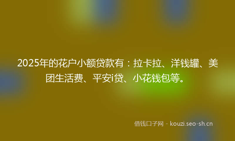2025年的花户小额贷款有：拉卡拉、洋钱罐、美团生活费、平安i贷、小花钱包等。