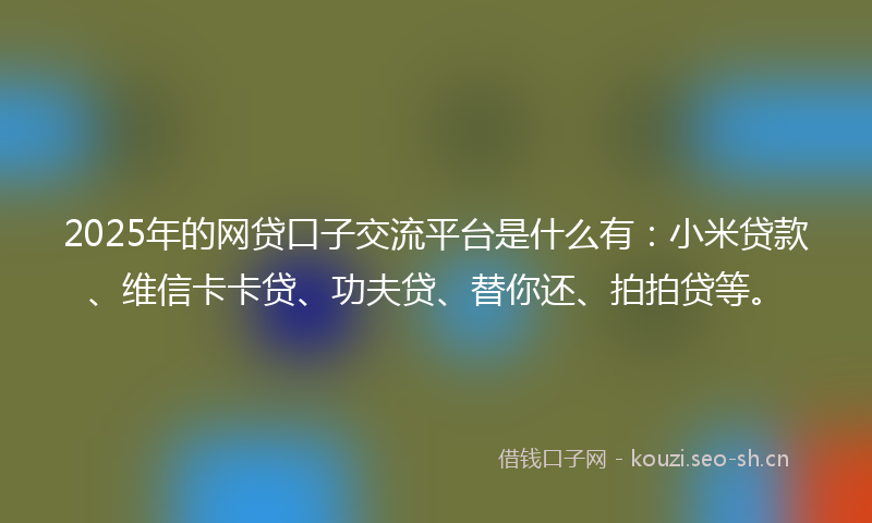 2025年的网贷口子交流平台是什么有：小米贷款、维信卡卡贷、功夫贷、替你还、拍拍贷等。