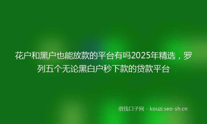 花户和黑户也能放款的平台有吗2025年精选，罗列五个无论黑白户秒下款的贷款平台