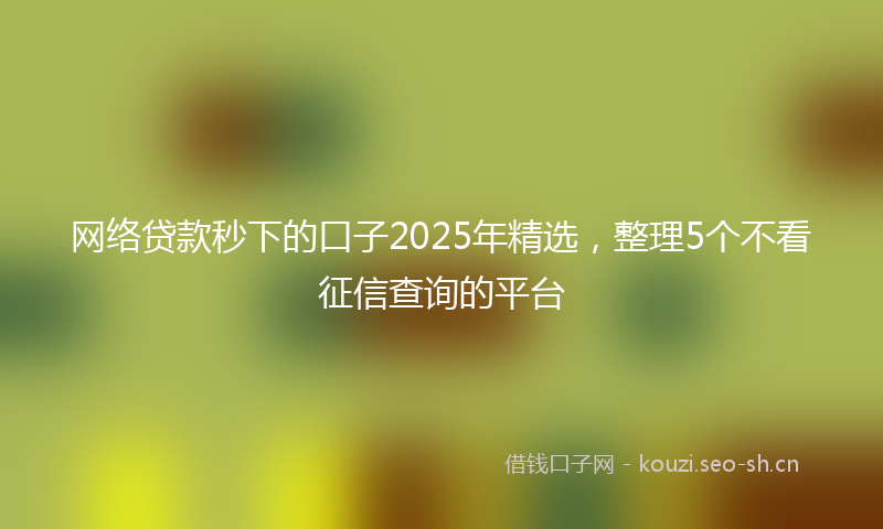 网络贷款秒下的口子2025年精选，整理5个不看征信查询的平台