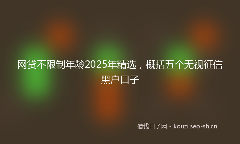 网贷不限制年龄2025年精选，概括五个无视征信黑户口子