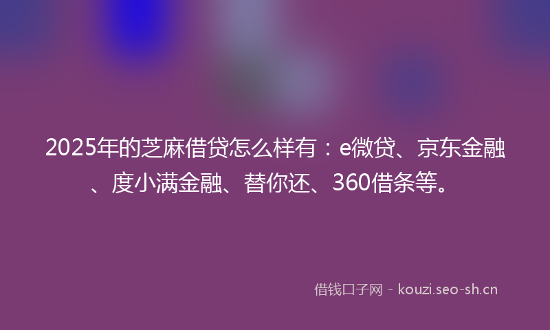 2025年的芝麻借贷怎么样有：e微贷、京东金融、度小满金融、替你还、360借条等。