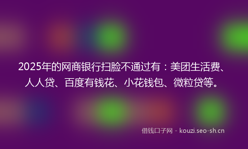 2025年的网商银行扫脸不通过有：美团生活费、人人贷、百度有钱花、小花钱包、微粒贷等。