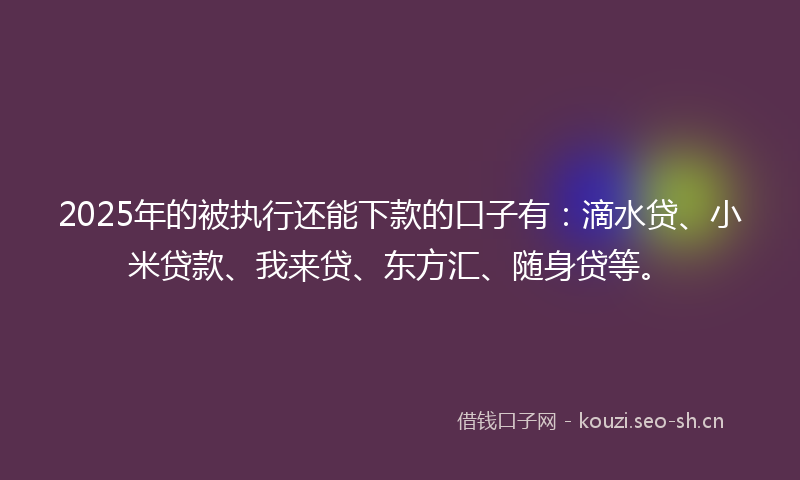 2025年的被执行还能下款的口子有：滴水贷、小米贷款、我来贷、东方汇、随身贷等。