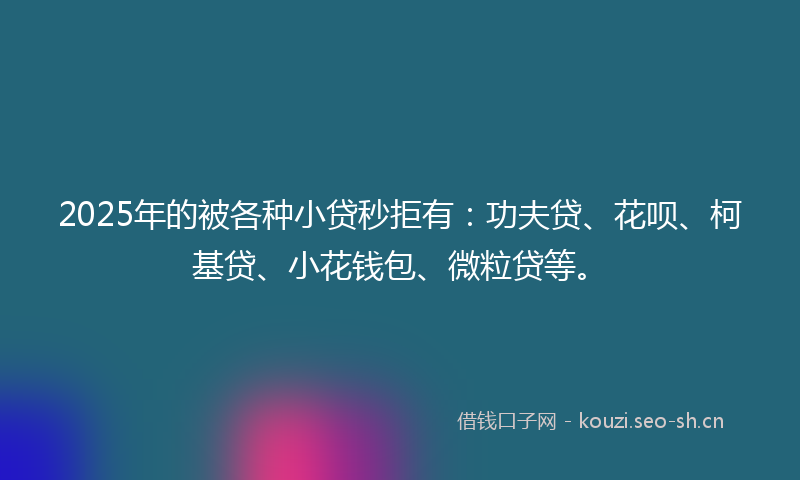 2025年的被各种小贷秒拒有：功夫贷、花呗、柯基贷、小花钱包、微粒贷等。