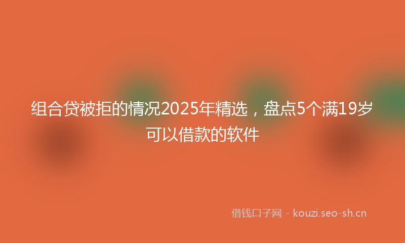 组合贷被拒的情况2025年精选，盘点5个满19岁可以借款的软件