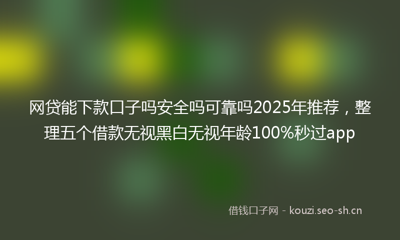 网贷能下款口子吗安全吗可靠吗2025年推荐，整理五个借款无视黑白无视年龄100%秒过app