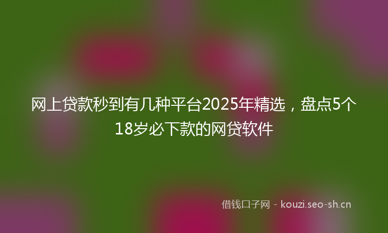 网上贷款秒到有几种平台2025年精选，盘点5个18岁必下款的网贷软件