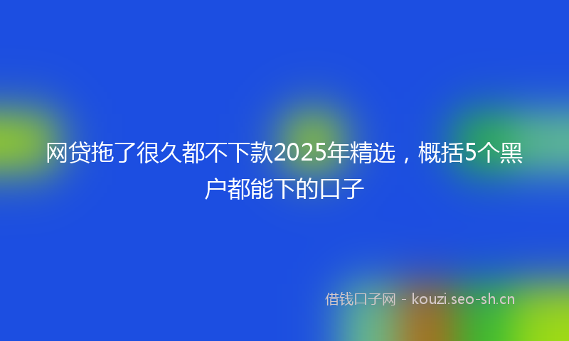 网贷拖了很久都不下款2025年精选，概括5个黑户都能下的口子