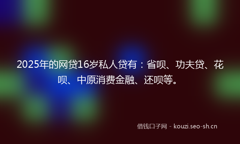 2025年的网贷16岁私人贷有：省呗、功夫贷、花呗、中原消费金融、还呗等。