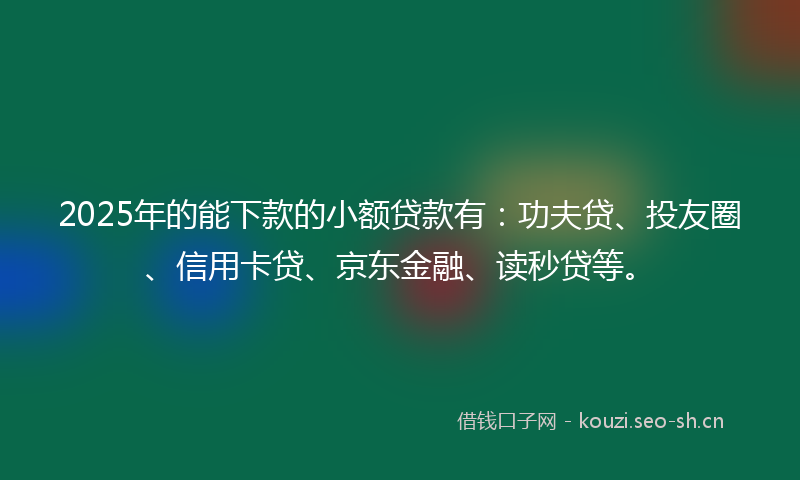 2025年的能下款的小额贷款有：功夫贷、投友圈、信用卡贷、京东金融、读秒贷等。