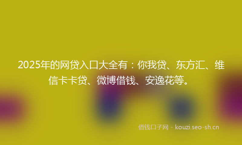 2025年的网贷入口大全有：你我贷、东方汇、维信卡卡贷、微博借钱、安逸花等。