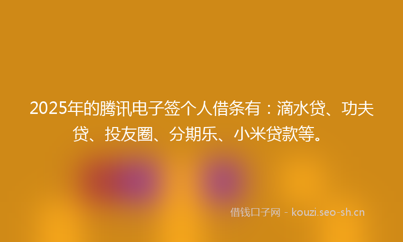 2025年的腾讯电子签个人借条有：滴水贷、功夫贷、投友圈、分期乐、小米贷款等。