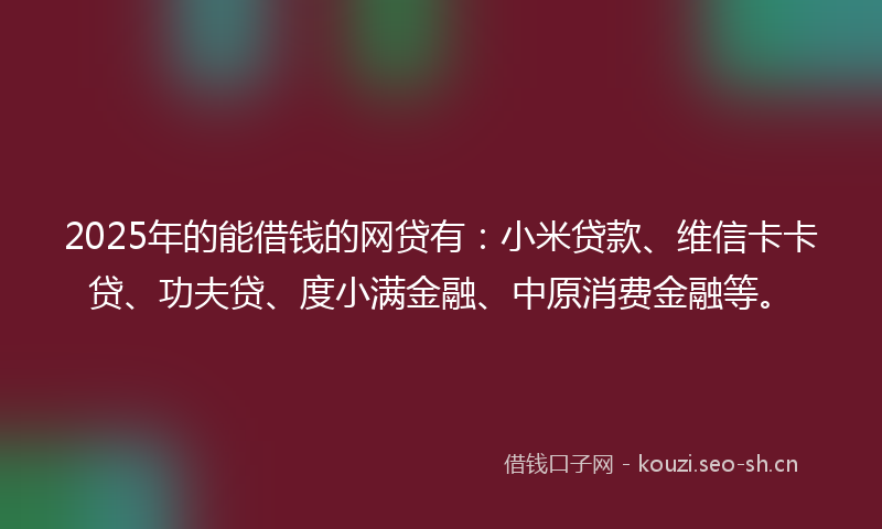 2025年的能借钱的网贷有：小米贷款、维信卡卡贷、功夫贷、度小满金融、中原消费金融等。