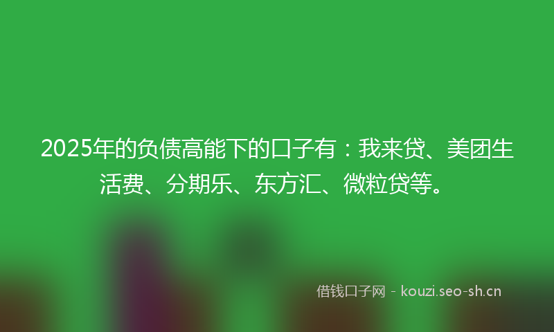 2025年的负债高能下的口子有：我来贷、美团生活费、分期乐、东方汇、微粒贷等。