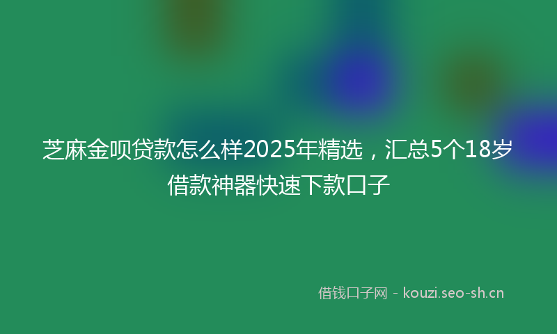 芝麻金呗贷款怎么样2025年精选，汇总5个18岁借款神器快速下款口子