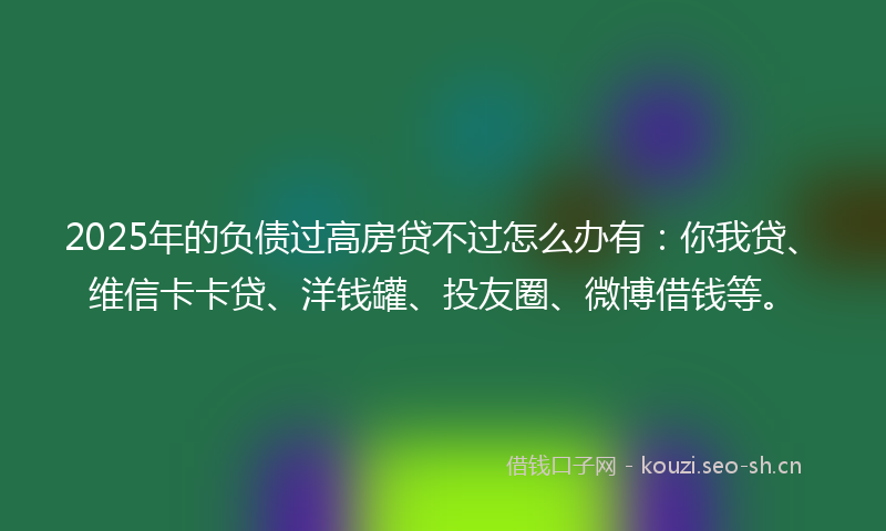 2025年的负债过高房贷不过怎么办有：你我贷、维信卡卡贷、洋钱罐、投友圈、微博借钱等。
