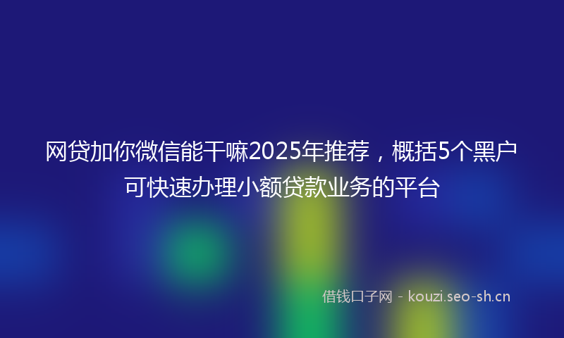 网贷加你微信能干嘛2025年推荐，概括5个黑户可快速办理小额贷款业务的平台