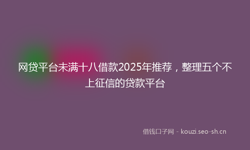 网贷平台未满十八借款2025年推荐,整理五个不上征信的贷款平台
