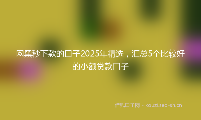 网黑秒下款的口子2025年精选，汇总5个比较好的小额贷款口子