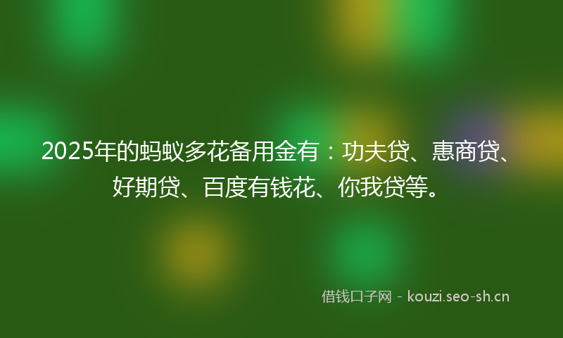 2025年的蚂蚁多花备用金有：功夫贷、惠商贷、好期贷、百度有钱花、你我贷等。