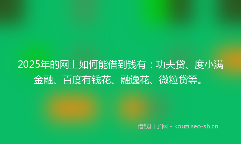 2025年的网上如何能借到钱有：功夫贷、度小满金融、百度有钱花、融逸花、微粒贷等。