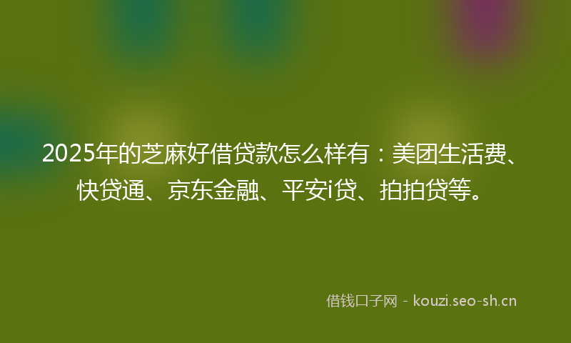 2025年的芝麻好借贷款怎么样有：美团生活费、快贷通、京东金融、平安i贷、拍拍贷等。