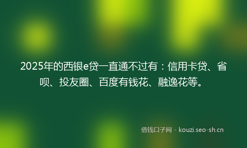 2025年的西银e贷一直通不过有：信用卡贷、省呗、投友圈、百度有钱花、融逸花等。