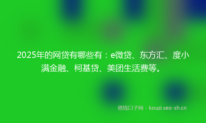 2025年的网贷有哪些有：e微贷、东方汇、度小满金融、柯基贷、美团生活费等。