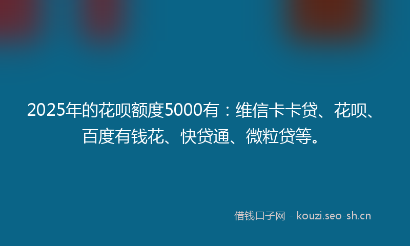 2025年的花呗额度5000有：维信卡卡贷、花呗、百度有钱花、快贷通、微粒贷等。