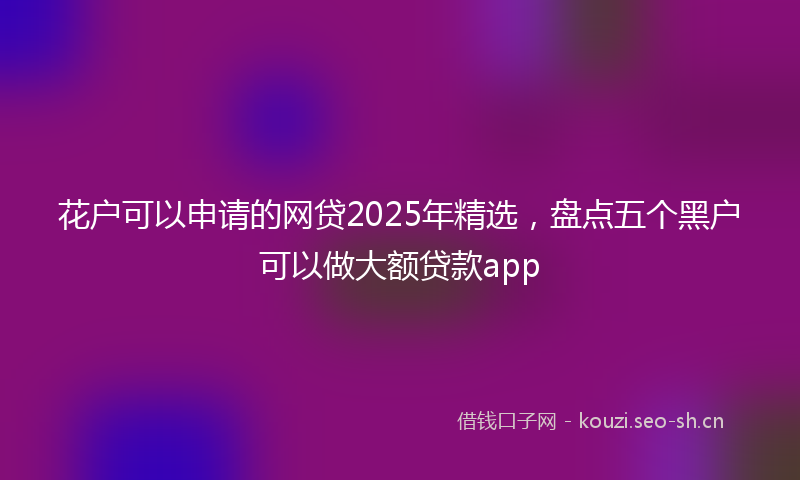 花户可以申请的网贷2025年精选，盘点五个黑户可以做大额贷款app