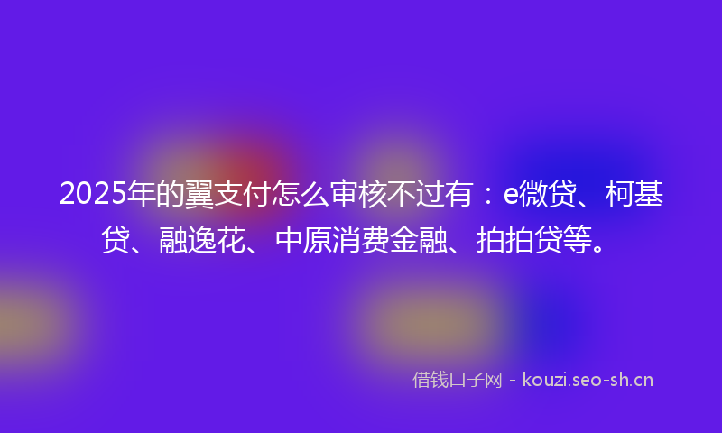 2025年的翼支付怎么审核不过有：e微贷、柯基贷、融逸花、中原消费金融、拍拍贷等。