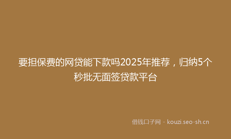 要担保费的网贷能下款吗2025年推荐，归纳5个秒批无面签贷款平台