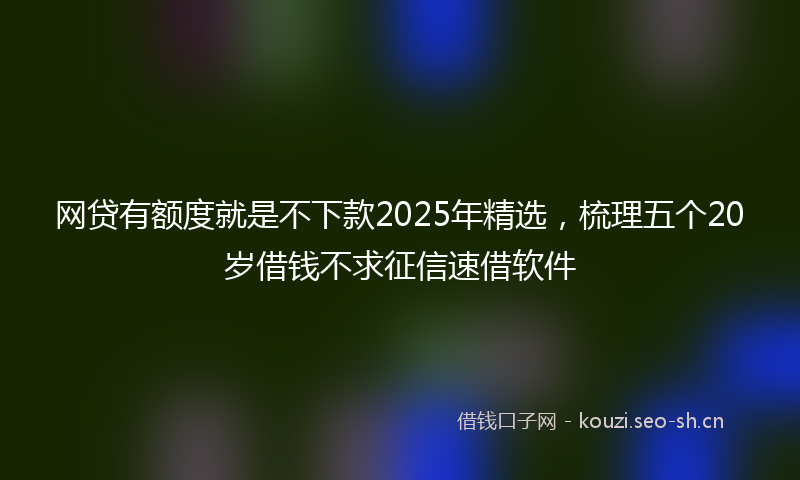 网贷有额度就是不下款2025年精选，梳理五个20岁借钱不求征信速借软件