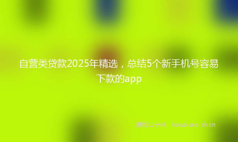 自营类贷款2025年精选，总结5个新手机号容易下款的app