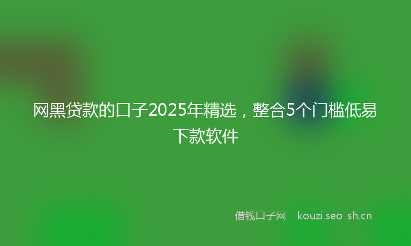 网黑贷款的口子2025年精选，整合5个门槛低易下款软件