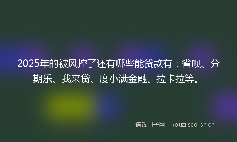 2025年的被风控了还有哪些能贷款有：省呗、分期乐、我来贷、度小满金融、拉卡拉等。