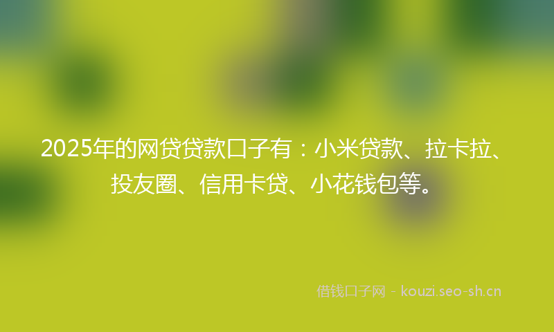 2025年的网贷贷款口子有：小米贷款、拉卡拉、投友圈、信用卡贷、小花钱包等。