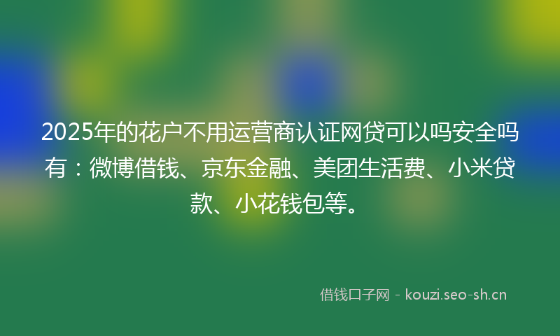 2025年的花户不用运营商认证网贷可以吗安全吗有：微博借钱、京东金融、美团生活费、小米贷款、小花钱包等。