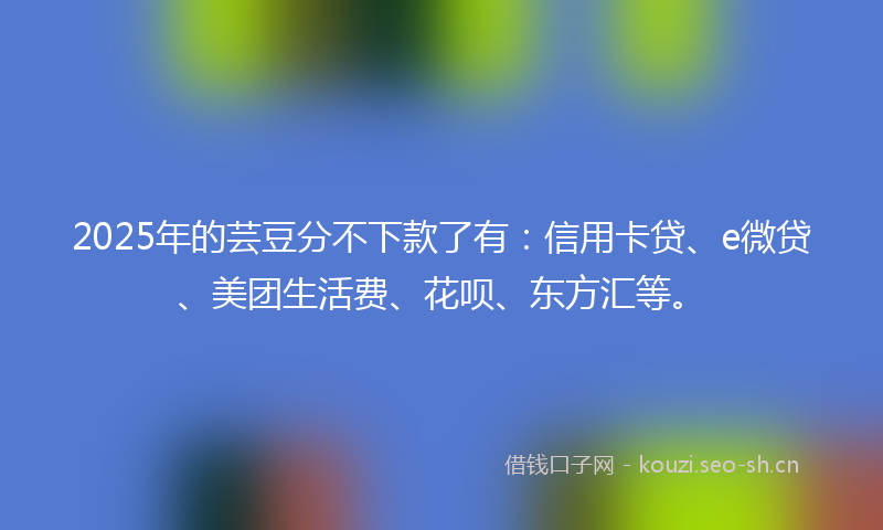2025年的芸豆分不下款了有：信用卡贷、e微贷、美团生活费、花呗、东方汇等。