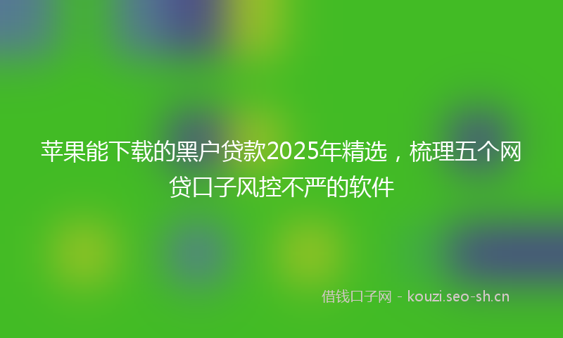 苹果能下载的黑户贷款2025年精选，梳理五个网贷口子风控不严的软件