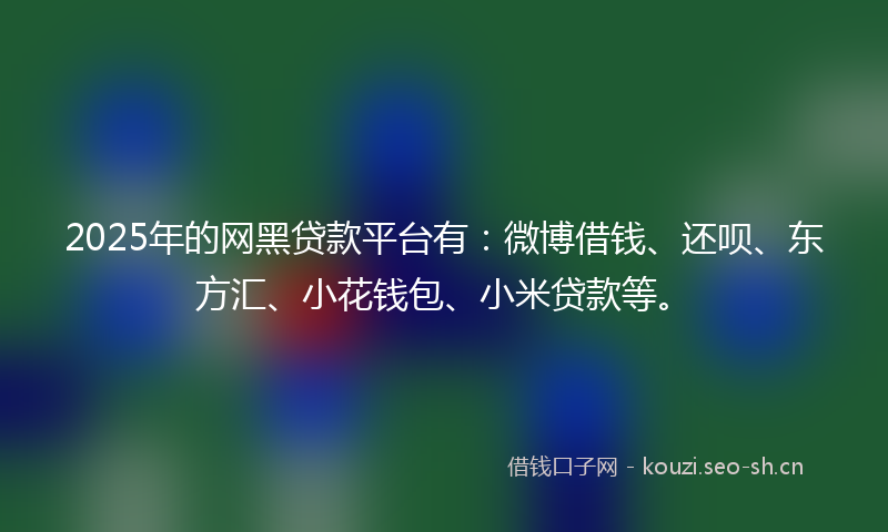 2025年的网黑贷款平台有：微博借钱、还呗、东方汇、小花钱包、小米贷款等。