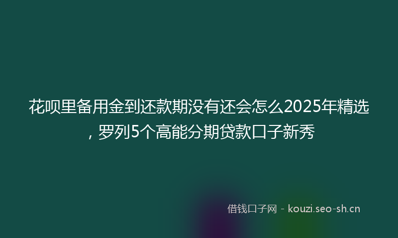 花呗里备用金到还款期没有还会怎么2025年精选，罗列5个高能分期贷款口子新秀