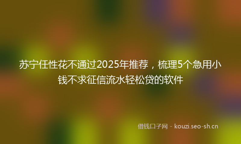 苏宁任性花不通过2025年推荐,梳理5个急用小钱不求征信流水轻松贷的软件