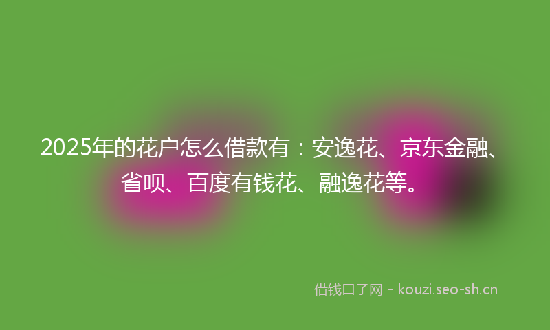 2025年的花户怎么借款有：安逸花、京东金融、省呗、百度有钱花、融逸花等。