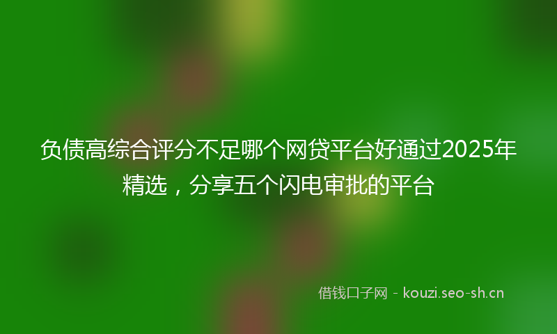 负债高综合评分不足哪个网贷平台好通过2025年精选，分享五个闪电审批的平台