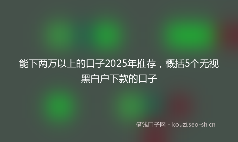 能下两万以上的口子2025年推荐，概括5个无视黑白户下款的口子